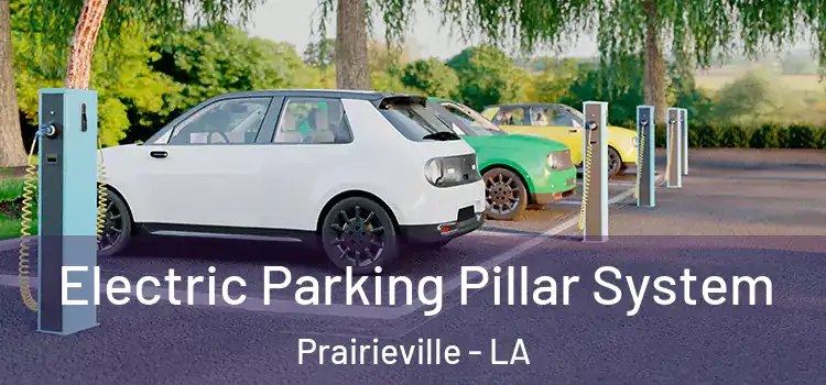  Electric Parking Pillar System Prairieville - LA