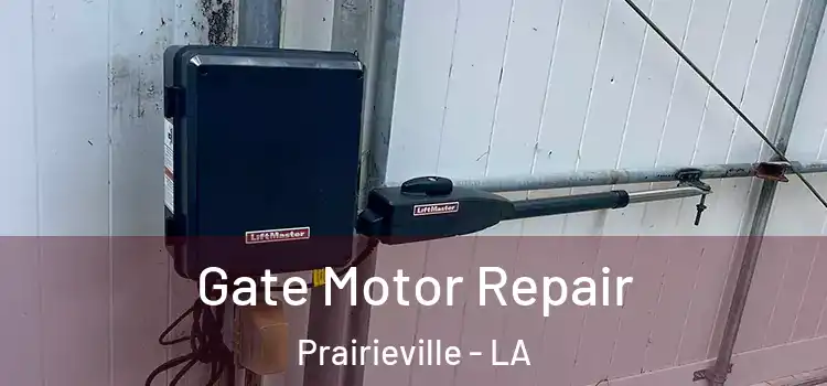 Gate Motor Repair Prairieville - LA