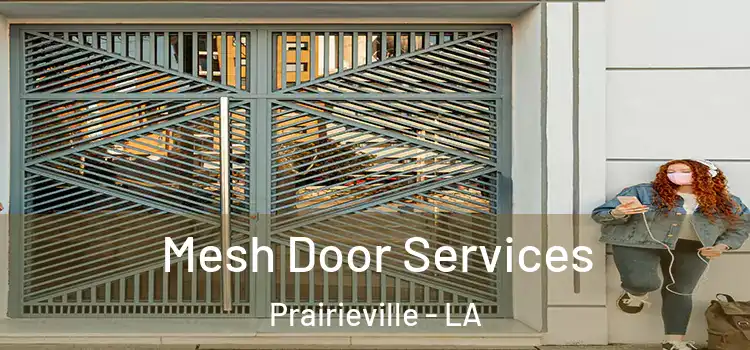 Mesh Door Services Prairieville - LA