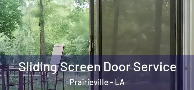 Sliding Screen Door Service Prairieville - LA